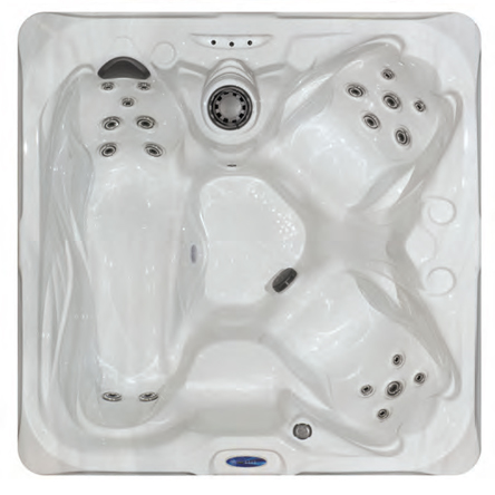 Healthly Living HL-620 Hot Tub.